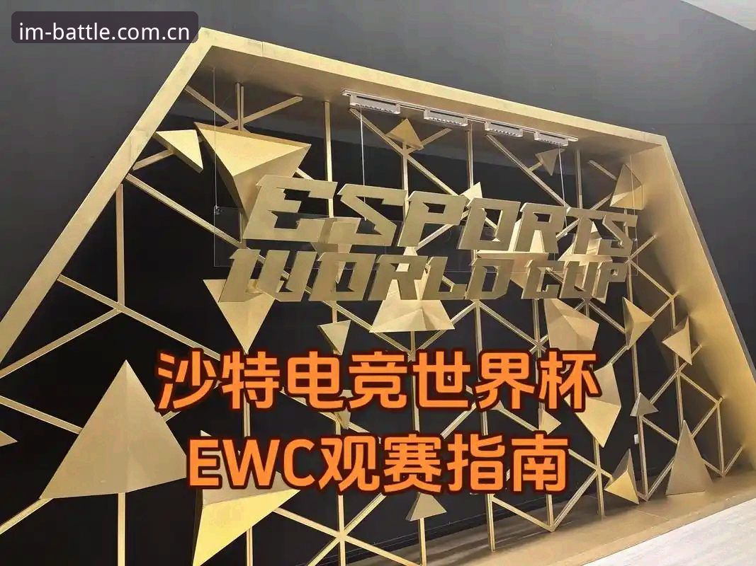 世界杯观赛受阻？掌握签证问题对电竞体验影响的实用分析
